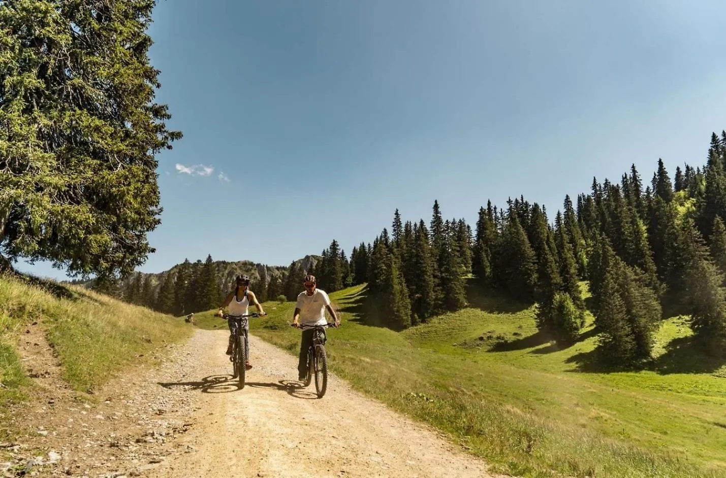 Apartment Veronica Vr49 Nature & Mountain 6 Pers Chatel