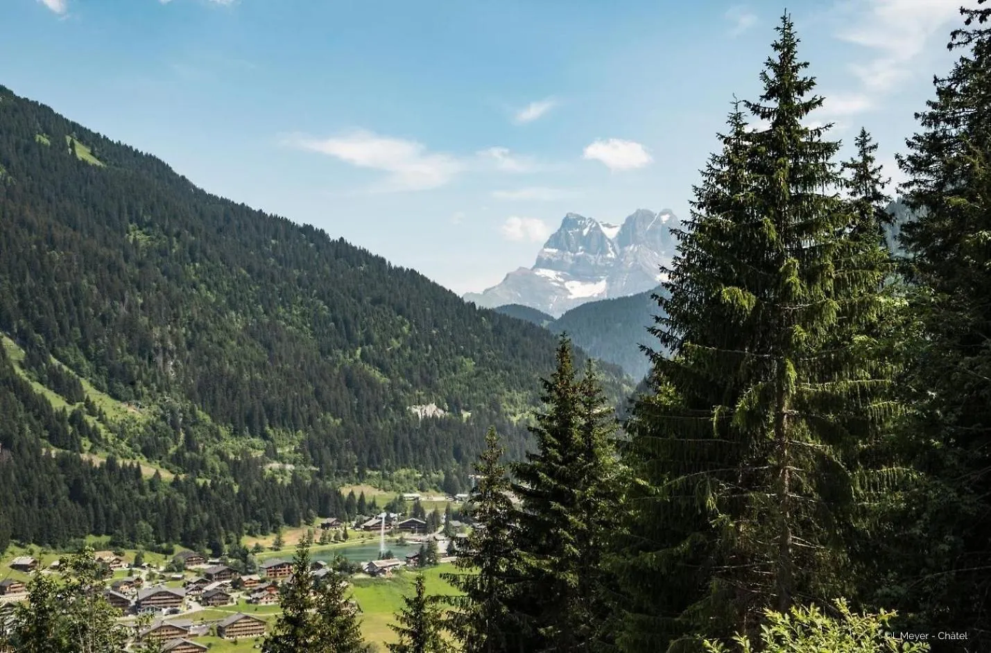 Veronica Vr49 Nature & Mountain 6 Pers Chatel Apartment